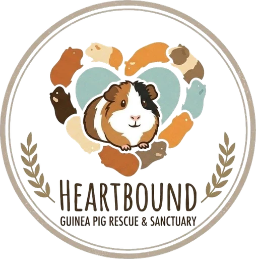 Heartbound Guinea Pig Rescue & Sanctuary logo: a guinea pig on a teal heart, encircled by other guinea pigs and framed by a wheat wreath.